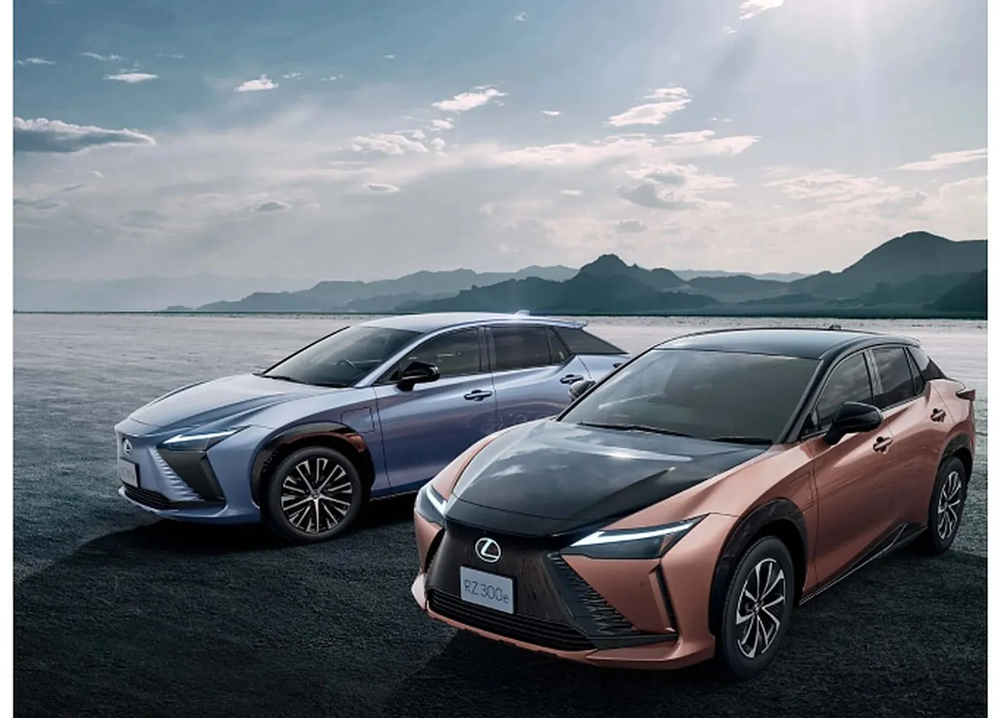 Toyota Lexus RZ専用EVサイト